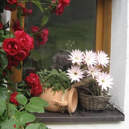 Hinterankerwald Apartament *