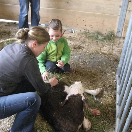 아파트 Hinterankerwald *