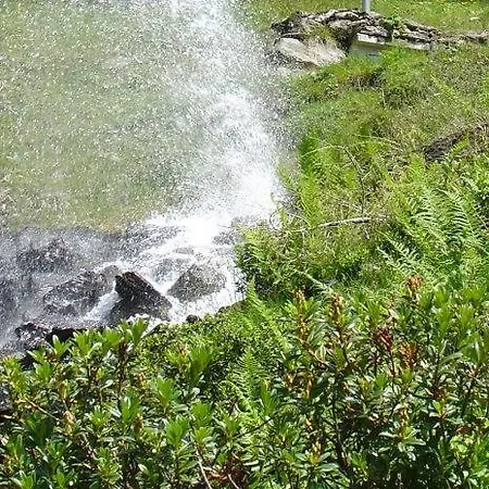 Hinterankerwald