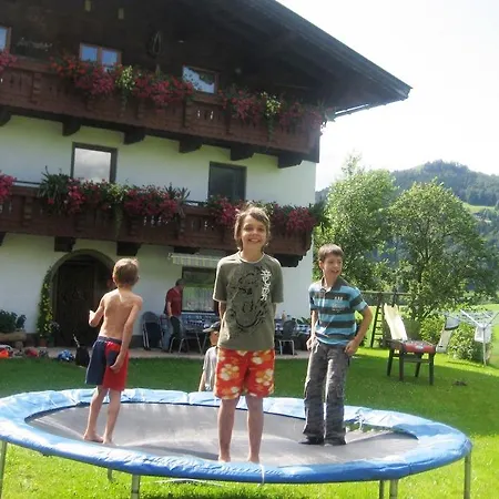 Hinterankerwald