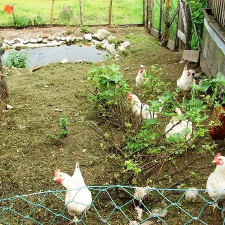 아파트 Hinterankerwald *