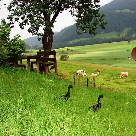 Hinterankerwald