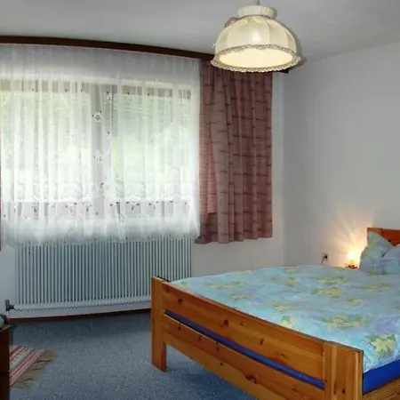 Apartment Hinterankerwald *