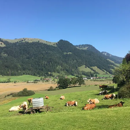 Hinterankerwald 아파트 *